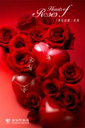 “金伯利钻石『挚爱玫瑰』系列，用玫瑰传递恒久爱意